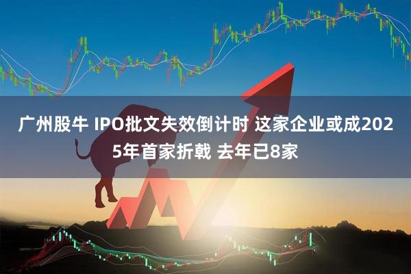 广州股牛 IPO批文失效倒计时 这家企业或成2025年首家折戟 去年已8家