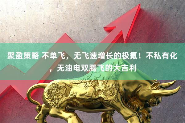 聚盈策略 不单飞，无飞速增长的极氪！不私有化，无油电双腾飞的大吉利