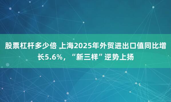 股票杠杆多少倍 上海2025年外贸进出口值同比增长5.6%，“新三样”逆势上扬