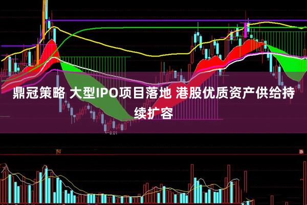 鼎冠策略 大型IPO项目落地 港股优质资产供给持续扩容